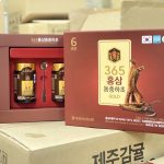 Nhập Đông Trùng Hạ Thảo Hàn Quốc Về Việt Nam: Cơ Hội Vàng Cho Sức Khỏe