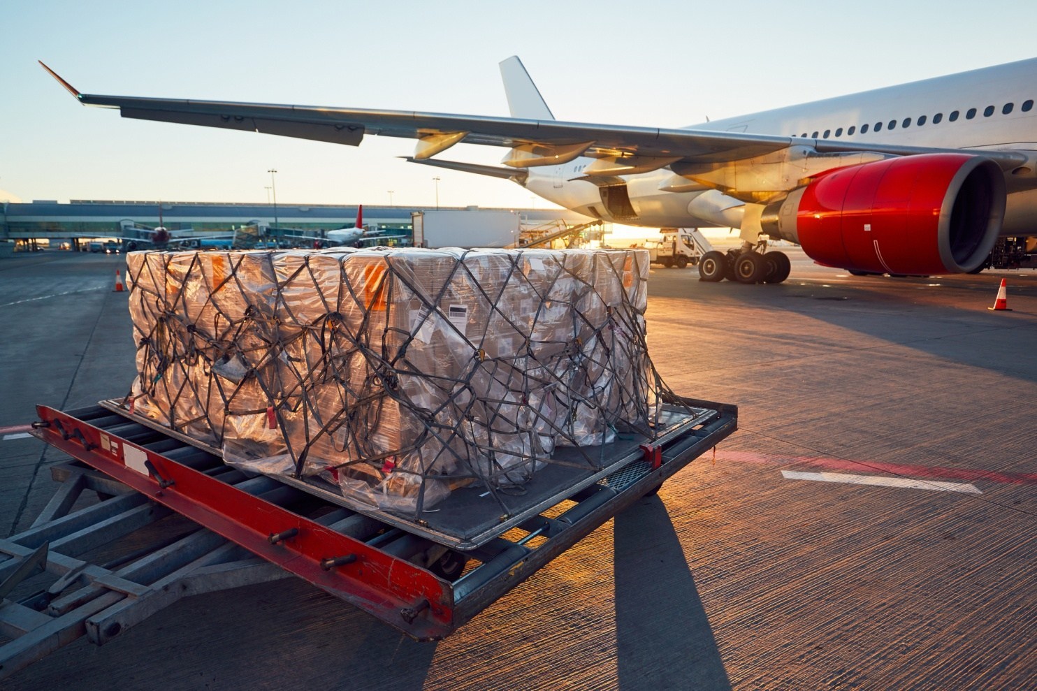 Lịch Tạm Ngưng Chuyến Bay Cargo Việt – Hàn: Cập Nhật Mới Nhất Tháng 8/2025