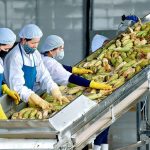 Xuất khẩu nông sản Việt Nam sang Hàn Quốc: Điểm sáng 2025
