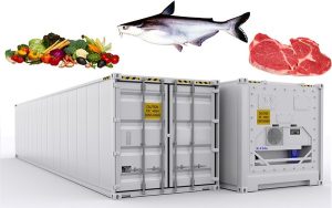 Chuỗi Cung Ứng Lạnh Cho Mỹ Phẩm: Bí Quyết Vận Chuyển Từ Hàn Quốc Đến Việt Nam