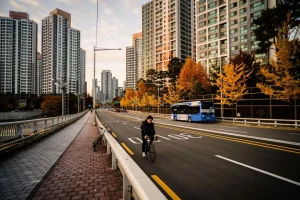 Người dân đạp xe trên một tuyến đường ở Seoul, Hàn Quốc ngày 11/11