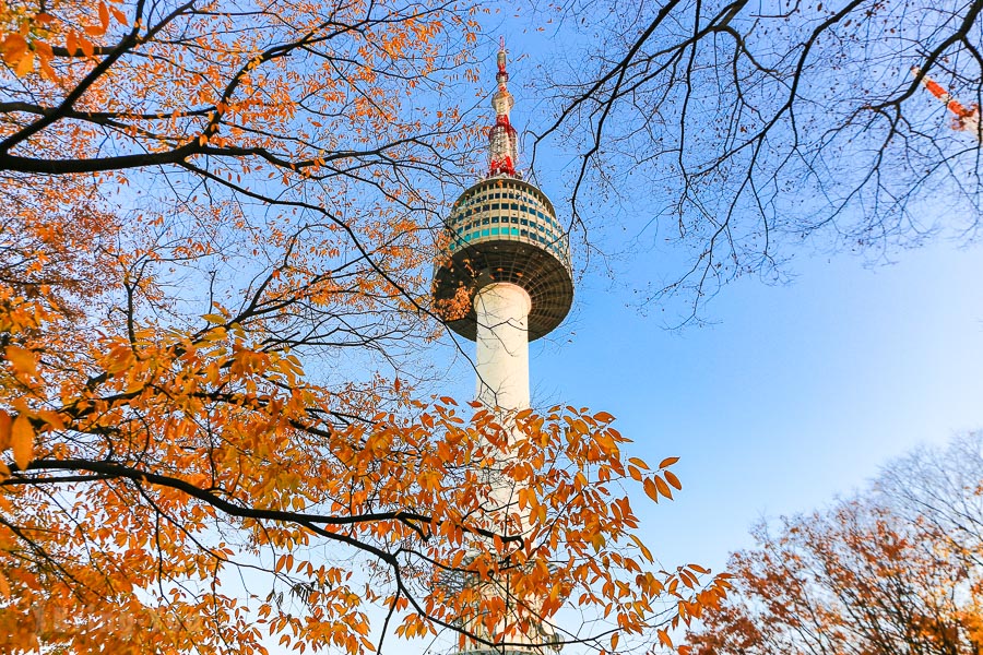 Khung cảnh quanh tháp truyền hình Namsan đương độ thu về.