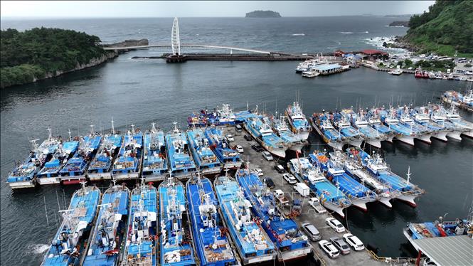 Cảng Jeju của Hàn Quốc ghi dấu mốc lịch sử sau hơn nửa thế kỷ