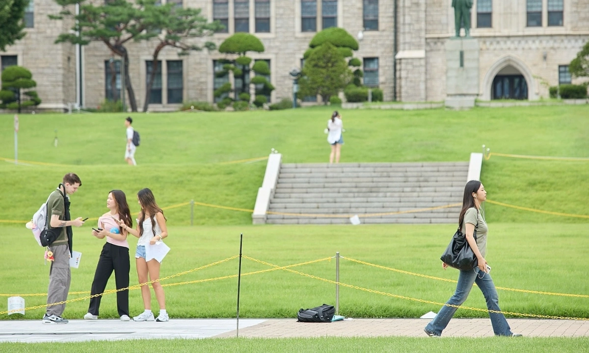 Số tiến sĩ tăng kỷ lục ở Hàn Quốc, nhiều người nhận lương thấp