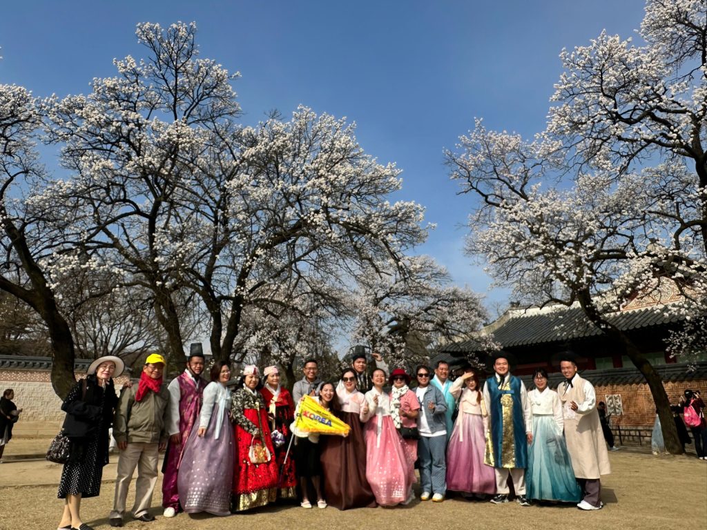 Hàn Quốc rực rỡ mùa hoa anh đào 2026