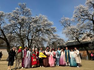 Hàn Quốc rực rỡ mùa hoa anh đào 2026