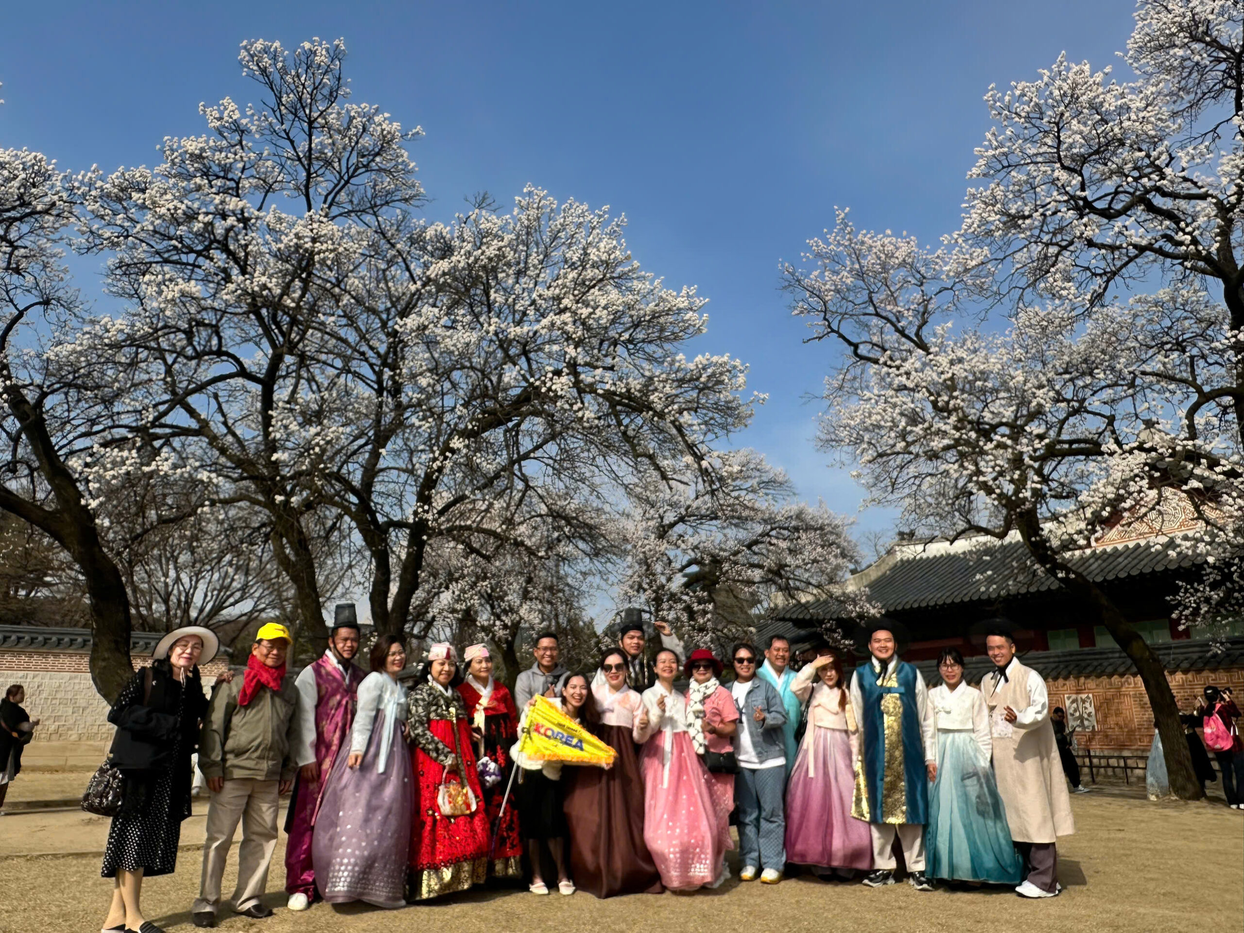 Hàn Quốc rực rỡ mùa hoa anh đào 2026