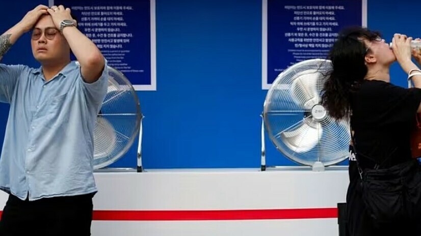 Nắng nóng tác động đến nền kinh tế Hàn Quốc Nắng nóng tác động đến nền kinh tế Hàn Quốc